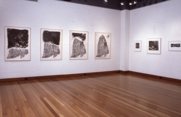 idg_archive_1991_what_happened_to_the_gum_trees_the_michelton_print_exhibition_001_install.jpg
