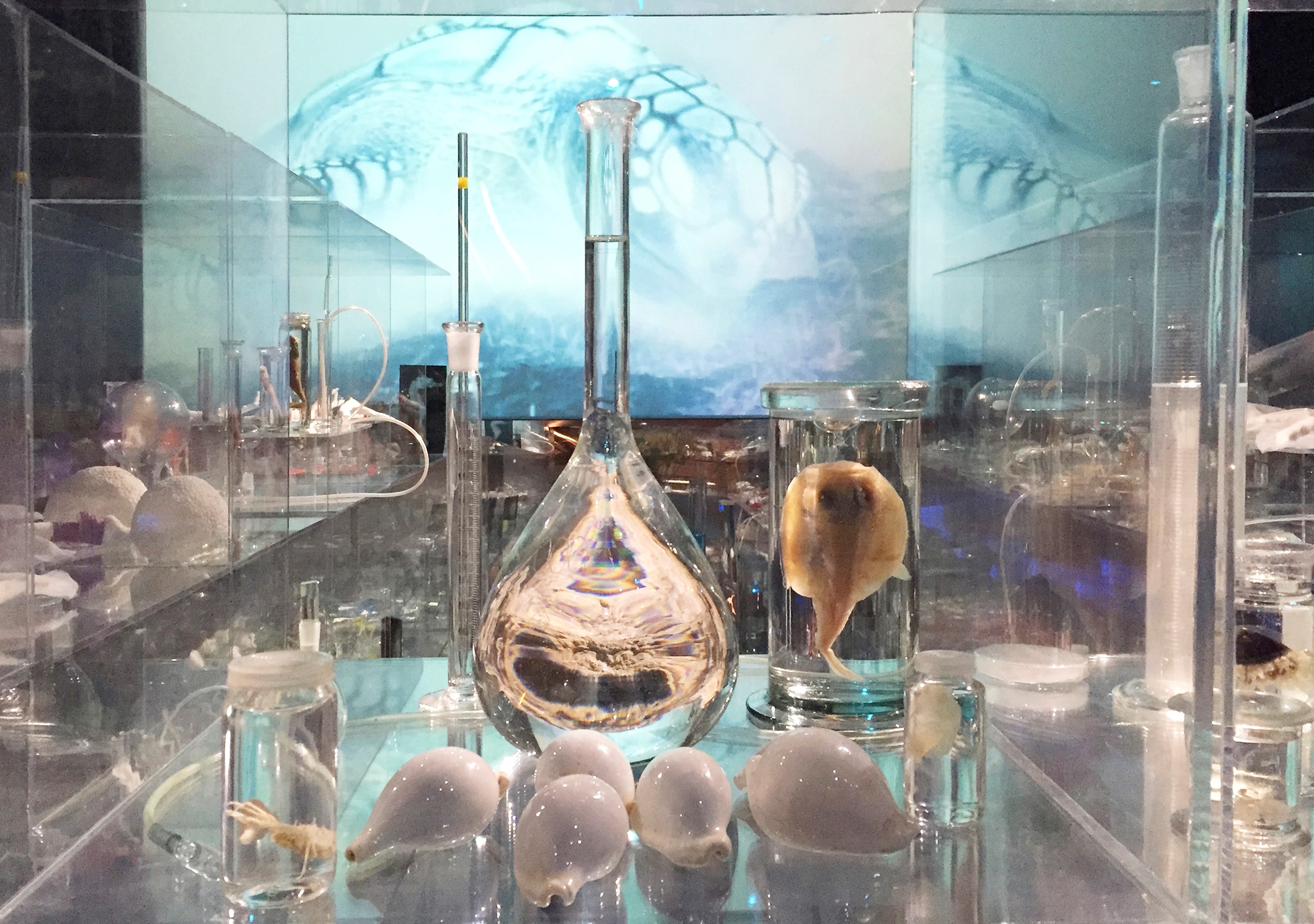 Deep Breathing: Resuscitation for the Reef (2015). Site-specific installation for COP21, Muséum National d’Histoire Naturelle, Paris. Photo: courtesy of Janet Laurence.