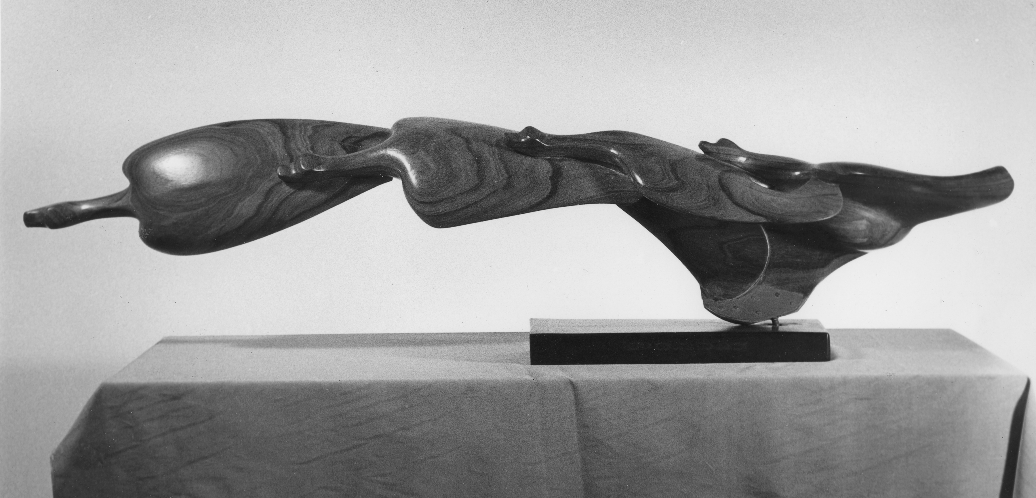 Gerald Lewers, Flight of Birds II 1952, Queensland back bean, 42cm x 142cm, Art Gallery of Western Australia.