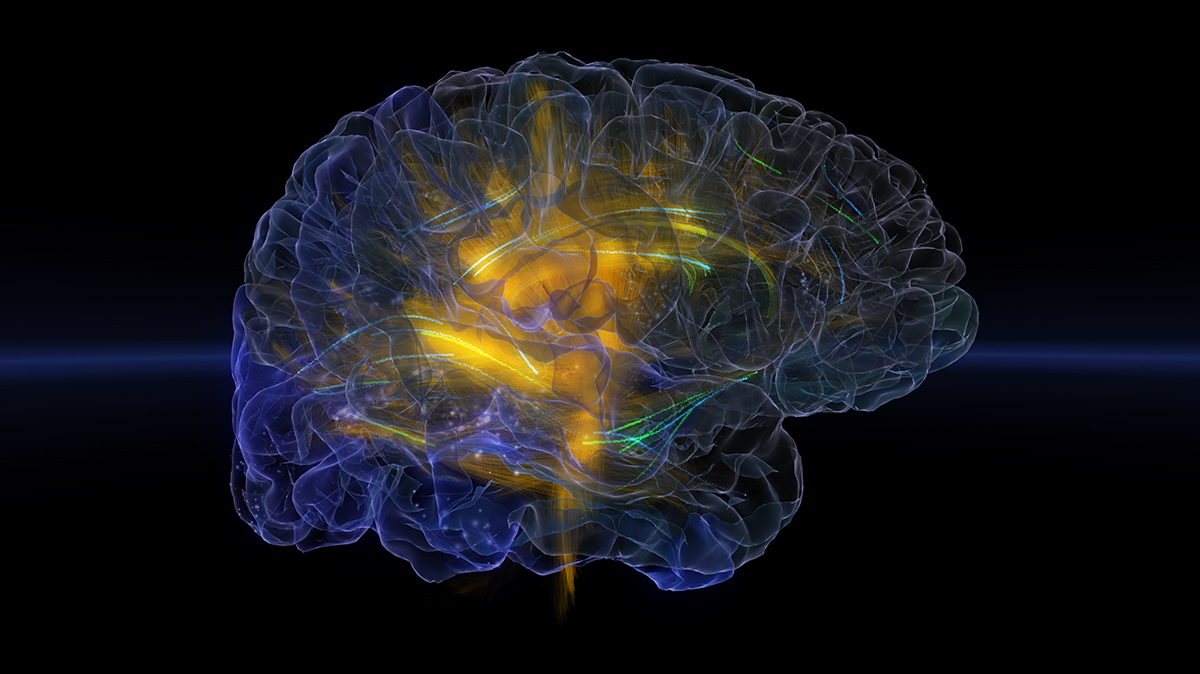 Glass Brain (Unity 3D visualisation) – Gazzaley Lab /Neuroscape lab, UCSF and UCSD / Syntrogi Labs.