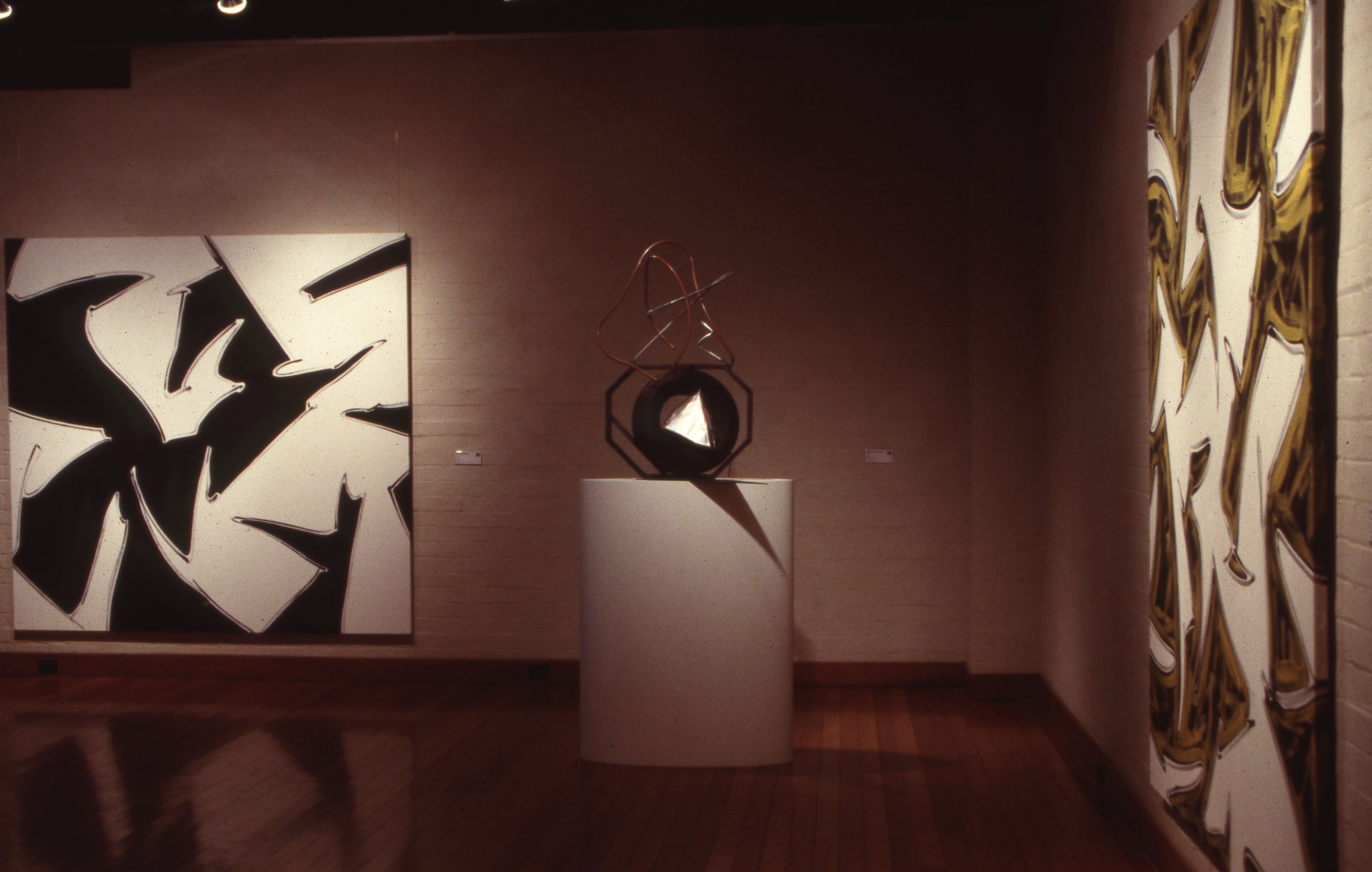 idg_archive_1988_from_the_southern_cross_a_view_of_the_world_art_c._1940-1988_the_australian_biennale_002_install.jpg