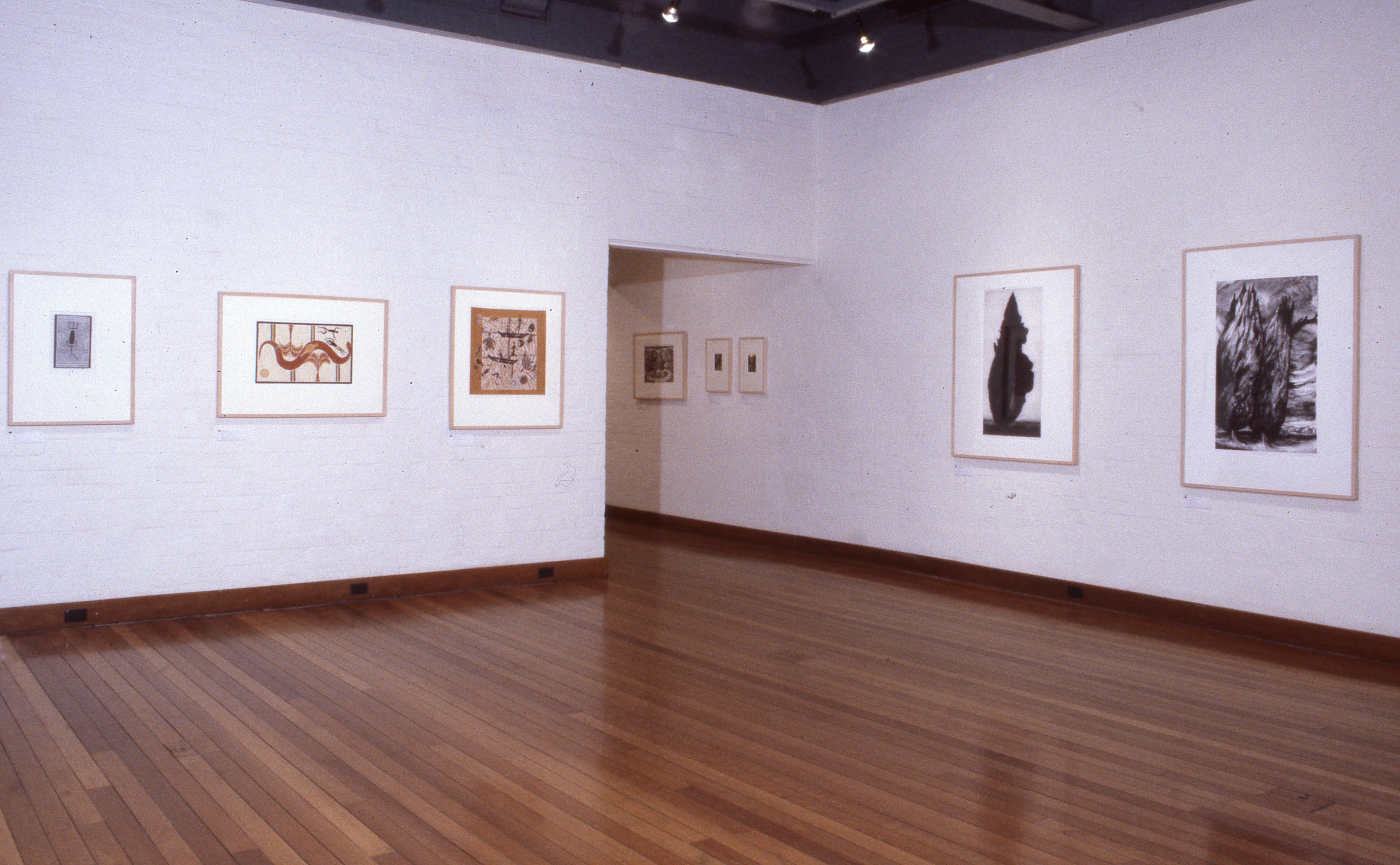 idg_archive_1991_what_happened_to_the_gum_trees_the_michelton_print_exhibition_002_install.jpg